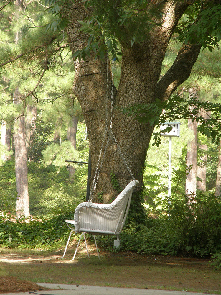 wicker chair under large tree