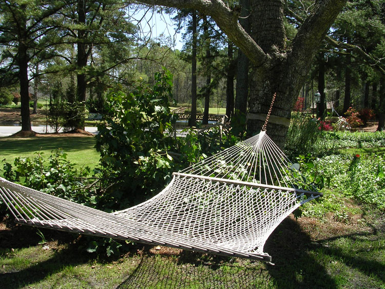 hammock