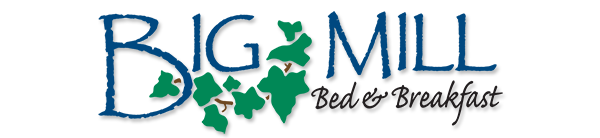 Big Mill logo